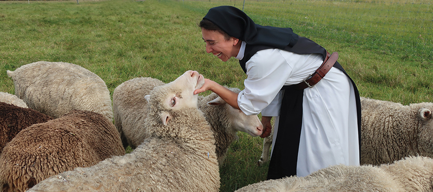 Sister Karla Gonçalves, O.C.S.O. gives DW some extra attention with a handful of grain.